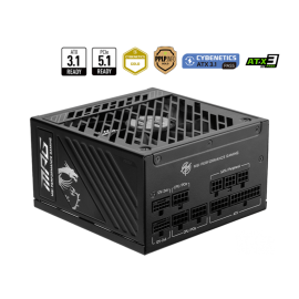 MSI A1250GS PCIE5 PCIE5.1 ATX3.1 (10THN) 80+ GOLD 12V-2x6 