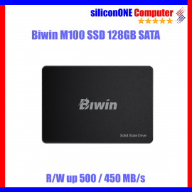 Biwin 128GB SATA M100 [500/450] [3THN] 