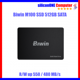 Biwin 512GB SATA M100 [550/480] [3THN] 