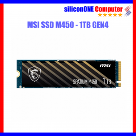 MSI SPATIUM M450 - 1TB GEN4 V1 