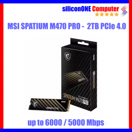 MSI SPATIUM M470 PRO - 2TB GEN4 [6000/5000] 