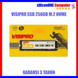 Visipro SSD 256GB NVME  