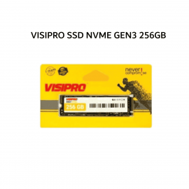 Visipro SSD 256GB NVME  